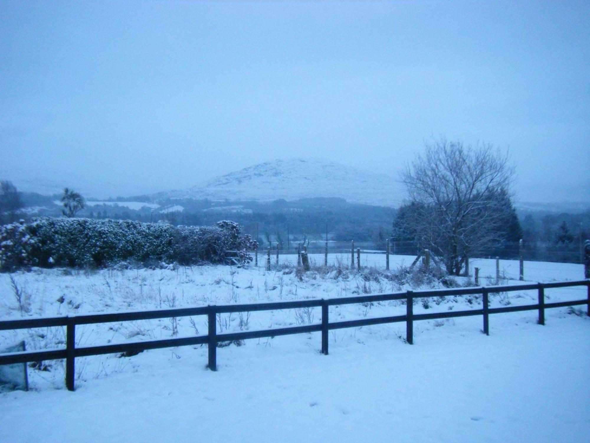 Ashfield B&B Kenmare Eksteriør billede